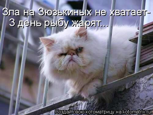 Зла на Зюзькиных не хватает- 3 день рыбу жарят...... Котоматрица: Зла на Зюзькиных не хватает- 3 день рыбу жарят...