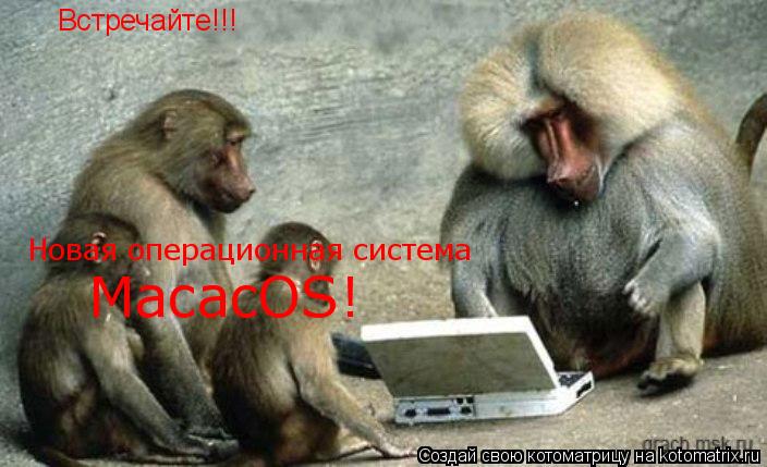 Котоматрица: Встречайте!!! Новая операционная система MacacOS!