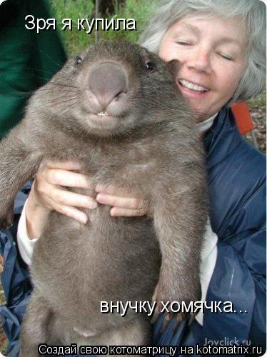 Котоматрица: Зря я купила внучку хомячка...