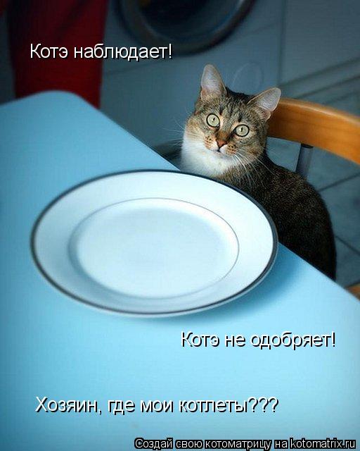 Котоматрица: Котэ наблюдает! Котэ не одобряет! Хозяин, где мои котлеты???