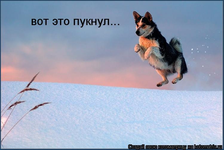 Котоматрица: вот это пукнул...