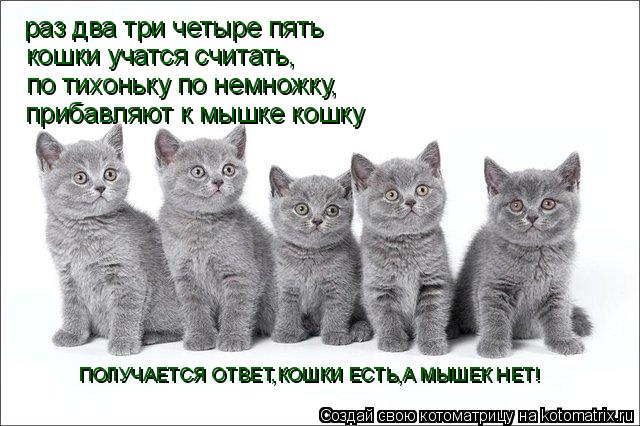 раз два три четыре пять кошки учатся считать, по тихоньку по немножку, прибавляют к мышке кошку ПОЛУЧ... Котоматрица: раз два три четыре пять кошки учатся считать, по тихоньку по немножку, прибавляют к мышке кошку ПОЛУЧАЕТСЯ ОТВЕТ,КОШКИ ЕСТЬ,А МЫШЕК НЕТ!