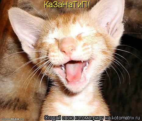 Котоматрица: КаЗаНаТиП!