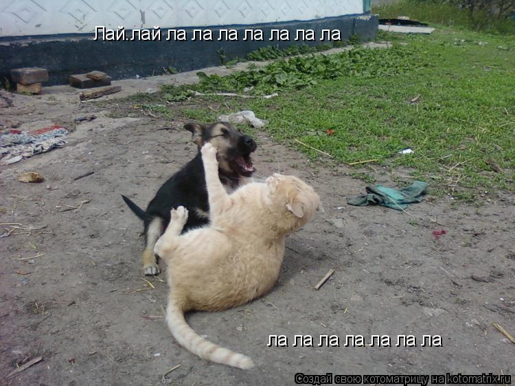Котоматрица: Лай.лай ла ла ла ла ла ла ла ла ла ла ла ла ла ла