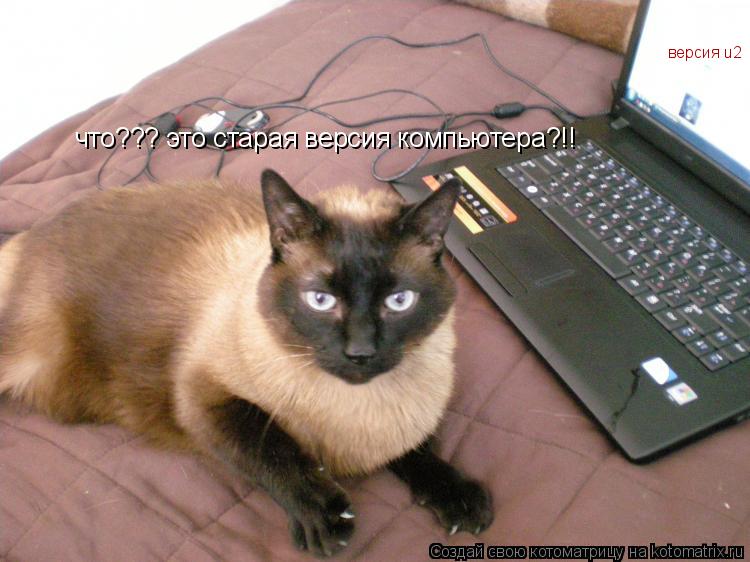 Котоматрица: что??? это старая версия компьютера?!! версия u2
