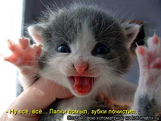 Котоматрица: - Ну всё, всё... Лапки помыл, зубки почистил...