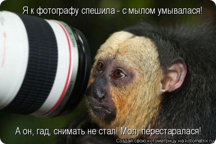 Котоматрица: Я к фотографу спешила - с мылом умывалася! А он, гад, снимать не стал! Мол, перестаралася!