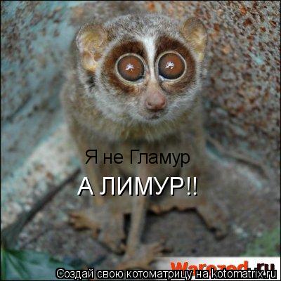 Котоматрица: Я не Гламур  А ЛИМУР!!