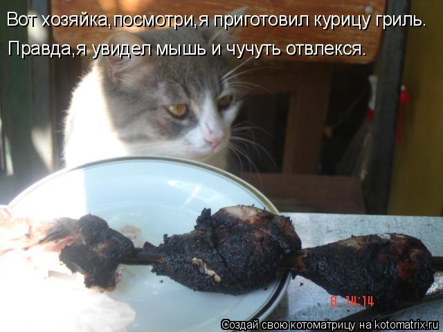 Котоматрица: Вот хозяйка,посмотри,я приготовил курицу гриль. Правда,я увидел мышь и чучуть отвлекся.