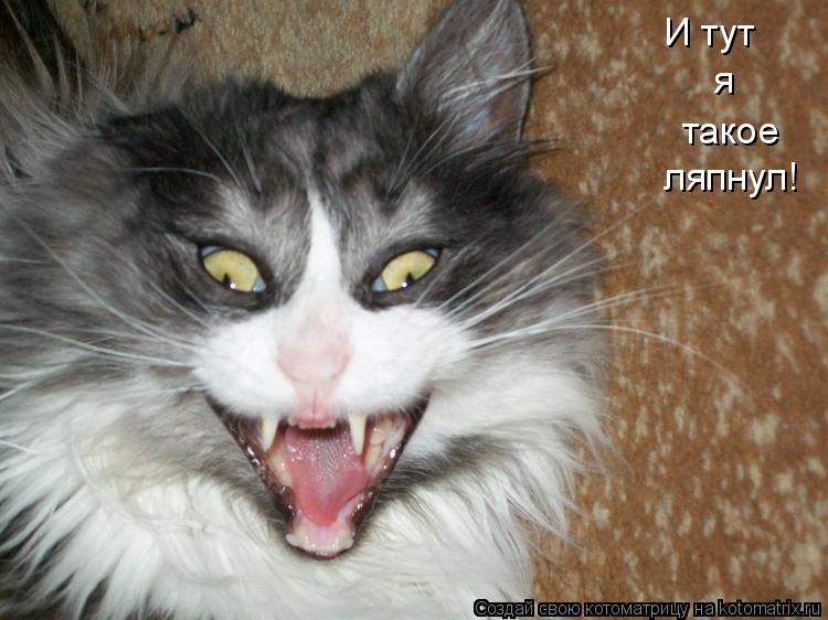 И тут я такое ляпнул!... Котоматрица: И тут я такое ляпнул!
