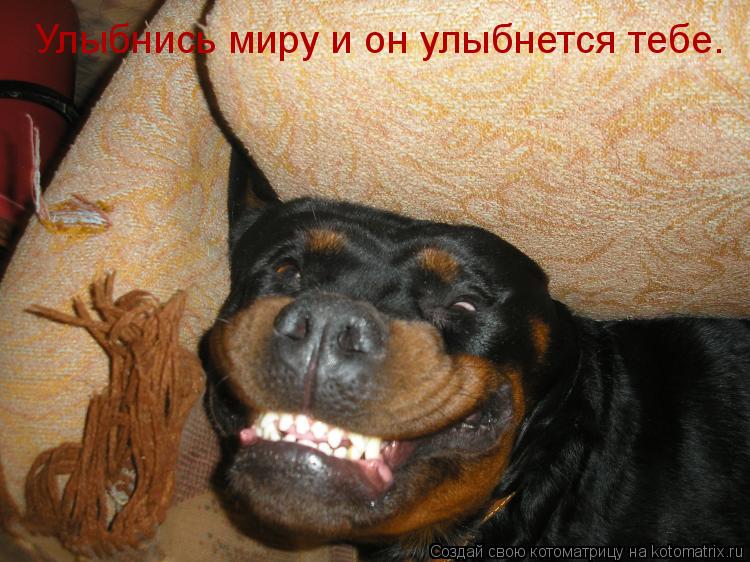 Котоматрица: Улыбнись миру и он улыбнется тебе.