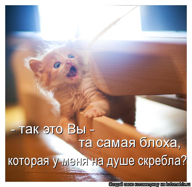 - так это Вы - та самая блоха, которая у меня на душе скребла?... Котоматрица: - так это Вы - та самая блоха, которая у меня на душе скребла?