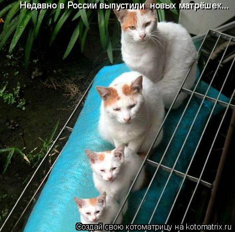 Недавно в России выпустили новых матрёшек...... Котоматрица: Недавно в России выпустили новых матрёшек...