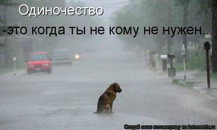 Одиночество -это когда ты не кому не нужен...... Котоматрица: Одиночество -это когда ты не кому не нужен...