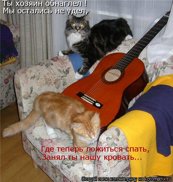 Ты хозяин обнаглел ! Мы остались не удел, Где теперь ложиться спать, Занял ты нашу кровать...... Котоматрица: Ты хозяин обнаглел ! Мы остались не удел, Где теперь ложиться спать, Занял ты нашу кровать...