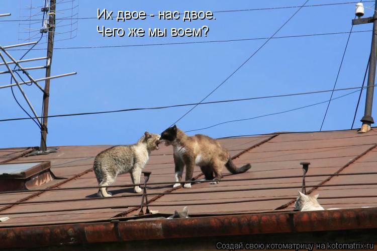 Их двое - нас двое. Чего же мы воем?... Котоматрица: Их двое - нас двое. Чего же мы воем?