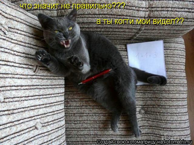 Котоматрица: что значит не правильно??? а ты когти мои видел??
