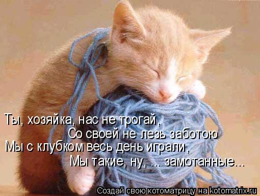 Ты, хозяйка, нас не трогай, Со своей не лезь заботою Мы с клубком весь день играли, Мы такие, ну, ..... Котоматрица: Ты, хозяйка, нас не трогай, Со своей не лезь заботою Мы с клубком весь день играли, Мы такие, ну, ... замотанные...