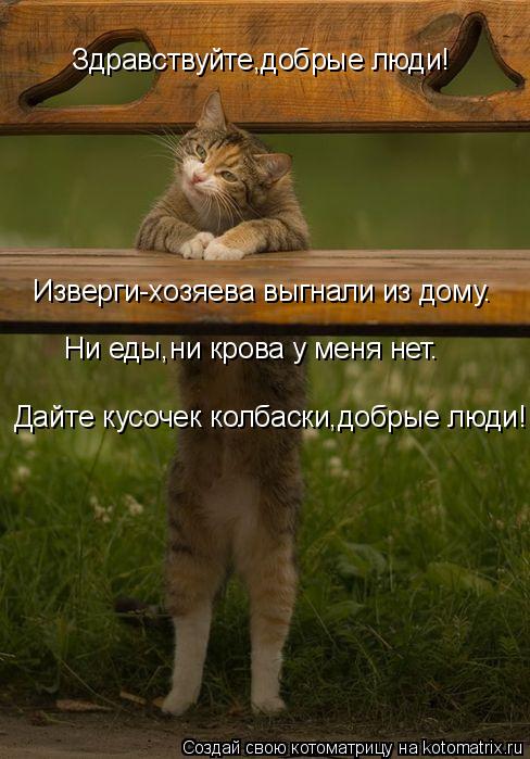 Котоматрица: Здравствуйте,добрые люди! Изверги-хозяева выгнали из дому. Ни еды,ни крова у меня нет. Дайте кусочек колбаски,добрые люди!