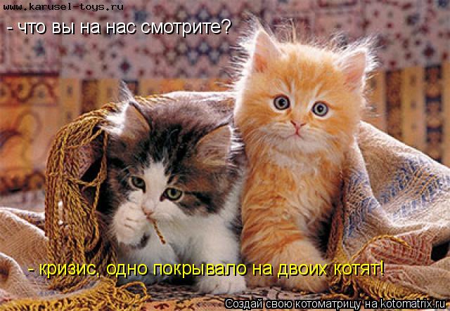 Котоматрица: - что вы на нас смотрите? - кризис, одно покрывало на двоих котят!