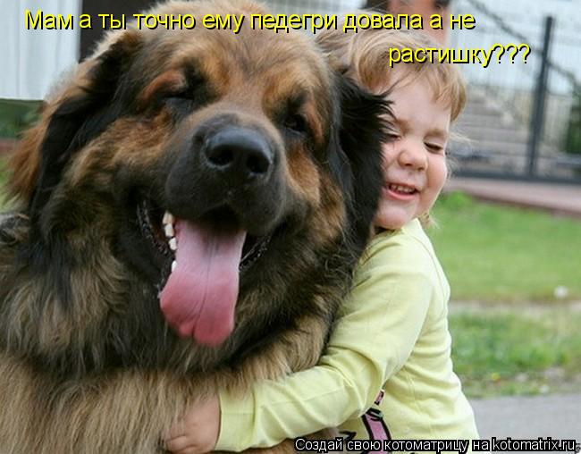 Котоматрица: Мам а ты точно ему педегри довала а не растишку???