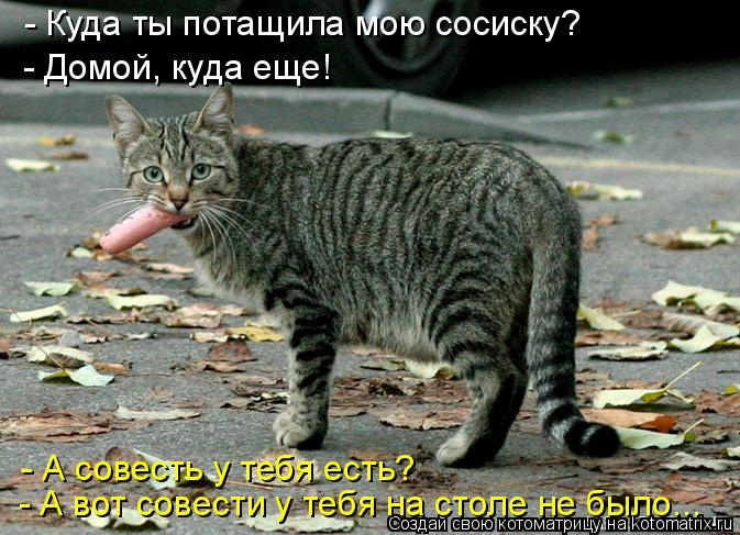 - А совесть у тебя есть? - Куда ты потащила мою сосиску? - Домой, куда еще! - А вот совести у тебя на... Котоматрица: - А совесть у тебя есть? - Куда ты потащила мою сосиску? - Домой, куда еще! - А вот совести у тебя на столе не было...
