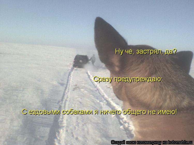 Котоматрица: Ну чё, застрял, да? Сразу предупреждаю: С ездовыми собаками я ничего общего не имею!