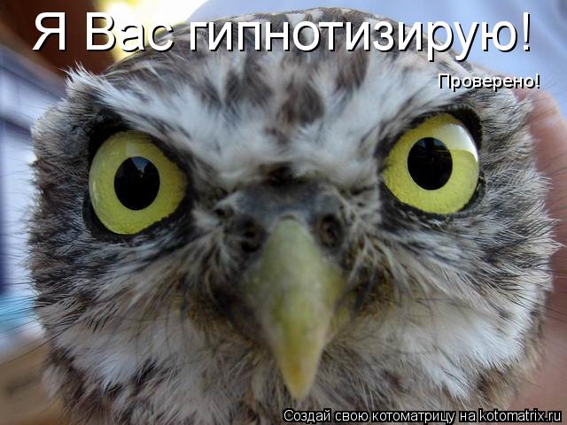 Котоматрица: Я Вас гипнотизирую! Проверено!