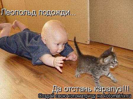 Котоматрица: Леопольд подожди... Да отстань карапуз!!!