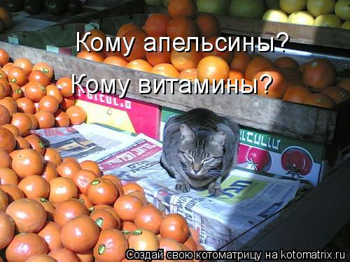 Котоматрица: Кому апельсины? Кому витамины?