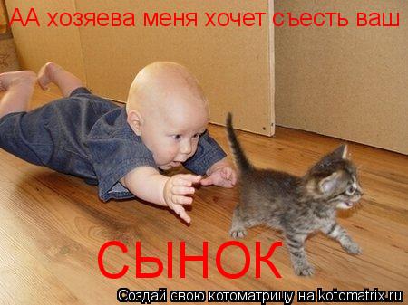 Котоматрица: СЫНОК АА хозяева меня хочет съесть ваш