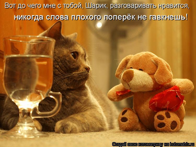 Вот до чего мне с тобой, Шарик, разговаривать нравится, никогда слова плохого поперёк не гавкнешь!... Котоматрица: Вот до чего мне с тобой, Шарик, разговаривать нравится, никогда слова плохого поперёк не гавкнешь!