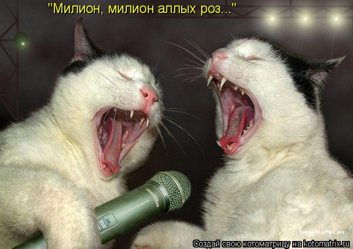 Котоматрица: "Милион, милион аллых роз..."