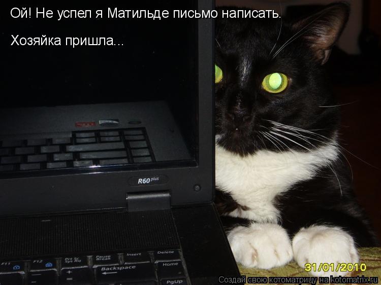 Котоматрица: Ой! Не успел я Матильде письмо написать. Хозяйка пришла Ой! Не успел я Матильде письмо написать.  Хозяйка пришла...