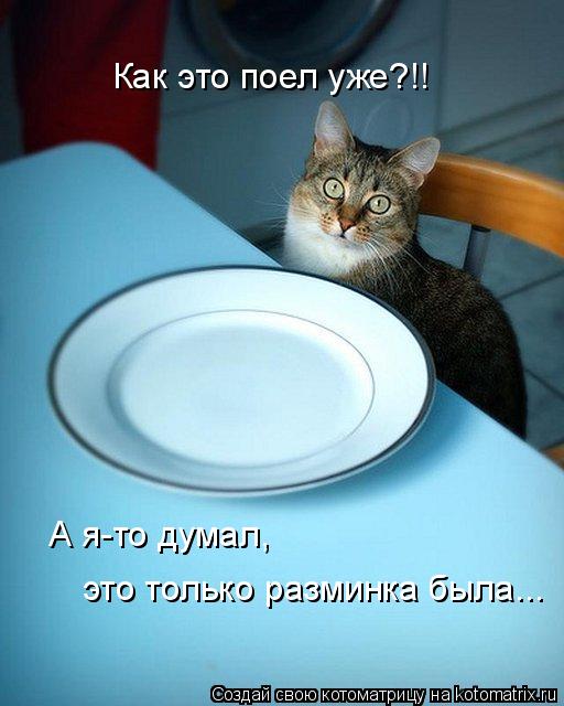 Как это поел уже?!! А я-то думал, это только разминка была...... Котоматрица: Как это поел уже?!! А я-то думал, это только разминка была...
