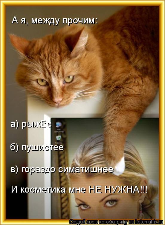А я, между прочим: а) рыжЕе б) пушистее в) гораздо симатишнее И косметика мне НЕ НУЖНА!!!... Котоматрица: А я, между прочим: а) рыжЕе б) пушистее в) гораздо симатишнее И косметика мне НЕ НУЖНА!!!