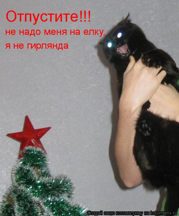 Отпустите!!! не надо меня на елку, я не гирлянда... Котоматрица: Отпустите!!! не надо меня на елку, я не гирлянда