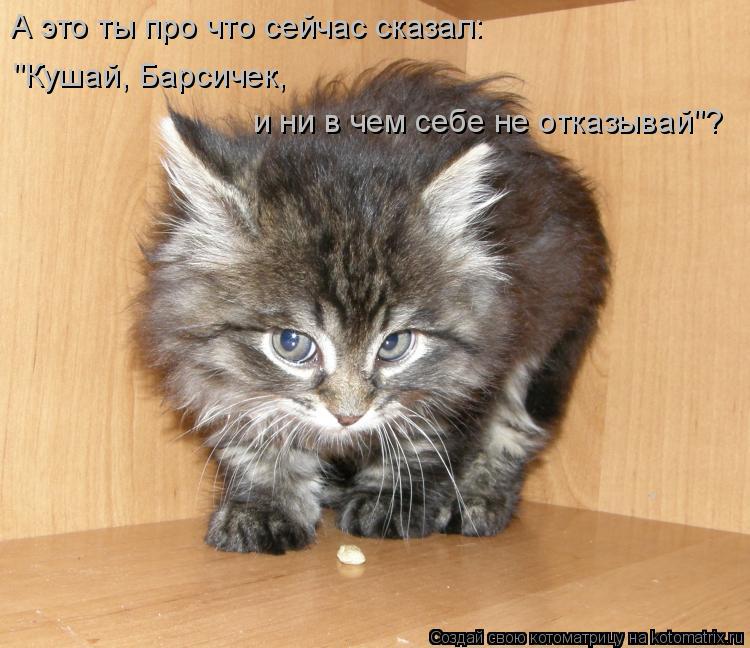 А это ты про что сейчас сказал: "Кушай, Барсичек, и ни в чем себе не отказывай"?... Котоматрица: А это ты про что сейчас сказал: "Кушай, Барсичек, и ни в чем себе не отказывай"?