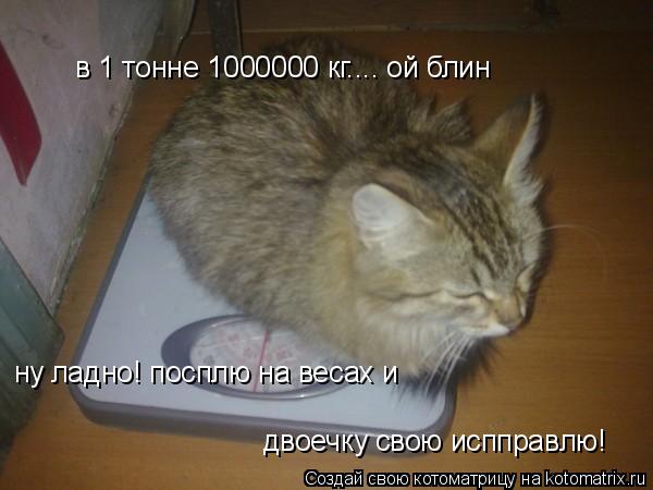 в 1 тонне 1000000 кг.... ой блин ну ладно! посплю на весах и двоечку свою испправлю!... Котоматрица: в 1 тонне 1000000 кг.... ой блин ну ладно! посплю на весах и двоечку свою испправлю!