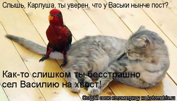 Слышь, Карлуша, ты уверен, что у Васьки нынче пост? Как-то слишком ты бесстрашно сел Василию на хвос... Котоматрица: Слышь, Карлуша, ты уверен, что у Васьки нынче пост? Как-то слишком ты бесстрашно сел Василию на хвост!