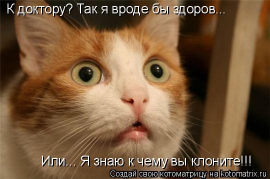 К доктору? Так я вроде бы здоров... Или... Я знаю к чему вы клоните!!!... Котоматрица: К доктору? Так я вроде бы здоров... Или... Я знаю к чему вы клоните!!!