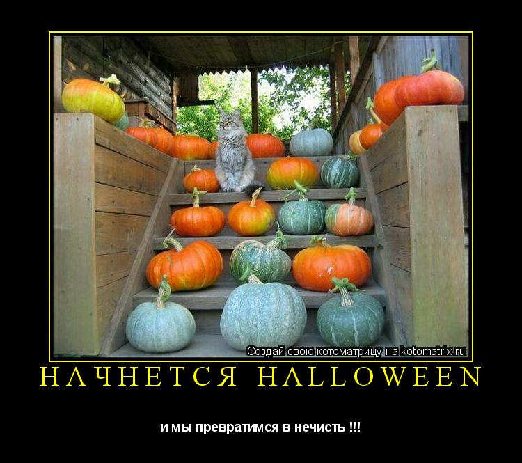 Начнется Halloween и мы превратимся в нечисть !!!... Котоматрица: Начнется Halloween и мы превратимся в нечисть !!!