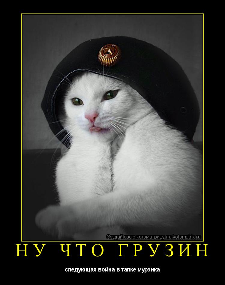 ну что грузин следующая война в тапке мурзика... Котоматрица: ну что грузин следующая война в тапке мурзика
