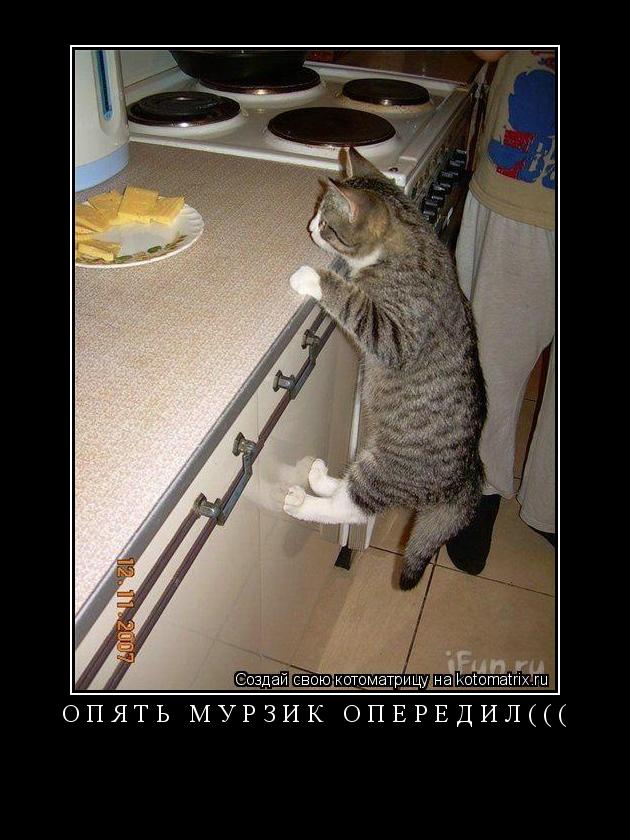 ОПЯТЬ МУРЗИК ОПЕРЕДИЛ((( ... Котоматрица: ОПЯТЬ МУРЗИК ОПЕРЕДИЛ(((