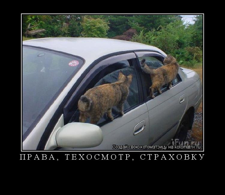 ПРАВА, ТЕХОСМОТР, СТРАХОВКУ ... Котоматрица: ПРАВА, ТЕХОСМОТР, СТРАХОВКУ