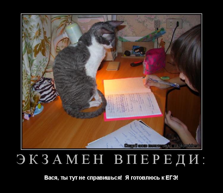 Экзамен впереди: Вася, ты тут не справишься! Я готовлюсь к ЕГЭ!... Котоматрица: Экзамен впереди: Вася, ты тут не справишься! Я готовлюсь к ЕГЭ!