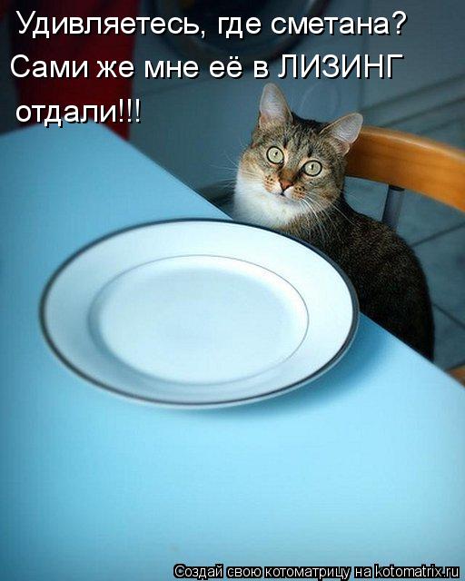 Сами же мне её в ЛИЗИНГ отдали!!! Удивляетесь, где сметана?... Котоматрица: Сами же мне её в ЛИЗИНГ отдали!!! Удивляетесь, где сметана?