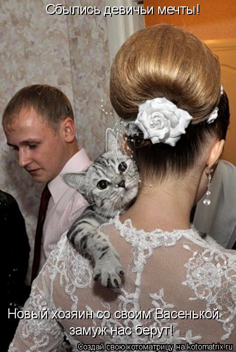 Сбылись девичьи мечты! Новый хозяин со своим Васенькой замуж нас берут!... Котоматрица: Сбылись девичьи мечты! Новый хозяин со своим Васенькой замуж нас берут!
