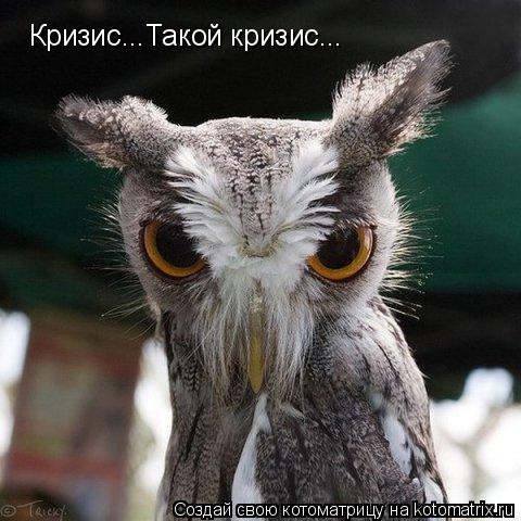 Котоматрица: Кризис...Такой кризис...