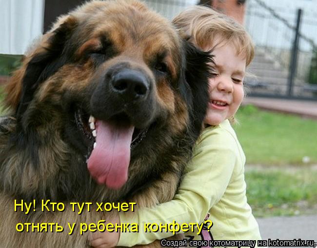Котоматрица: Ну! Кто тут хочет отнять у ребенка конфету?